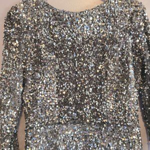 Silver Sequin Dress